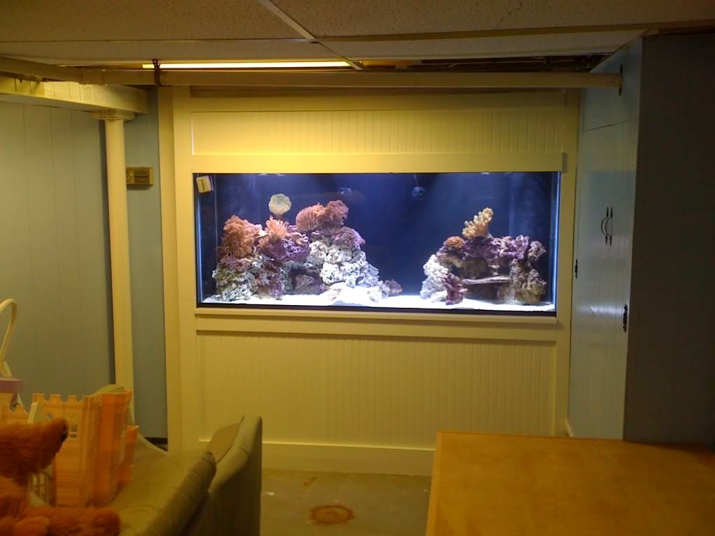 IMG_0087.jpg