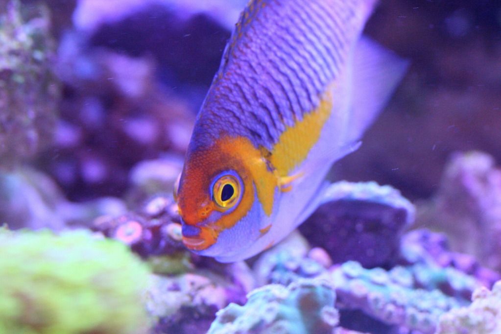 IMG_0062.jpg