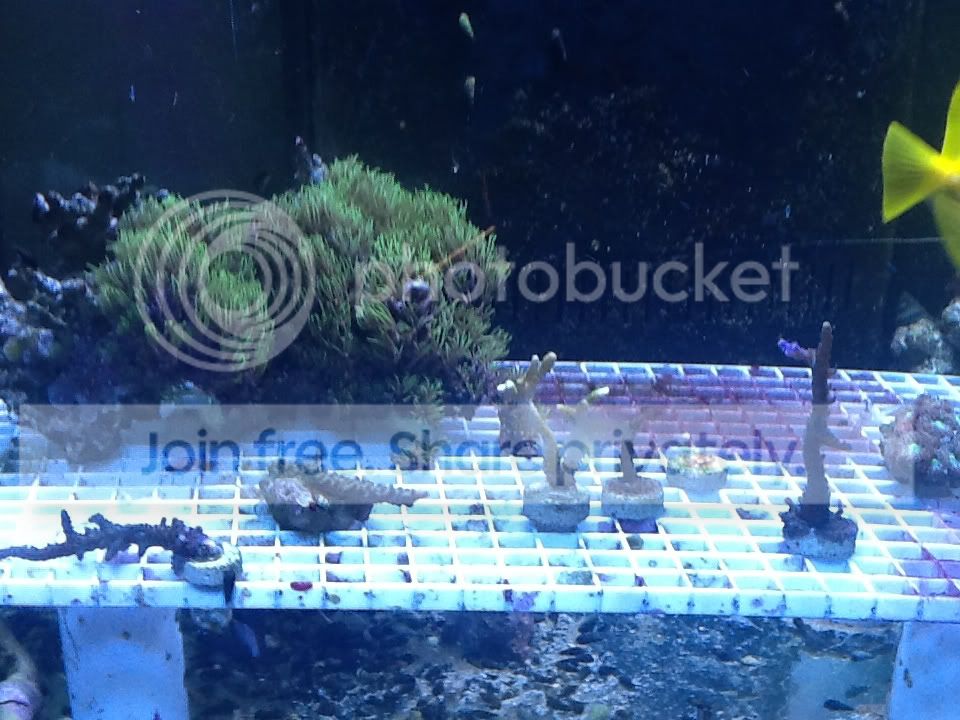 dbc9f062.jpg
