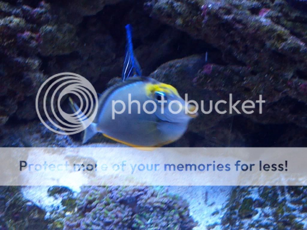 2011-12-07_13-44-45_630.jpg
