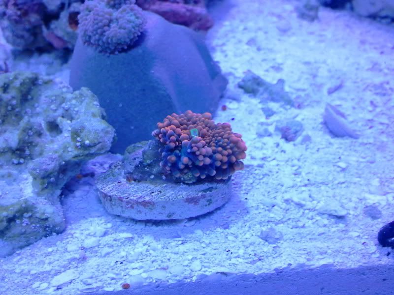 2011-04-21120244.jpg