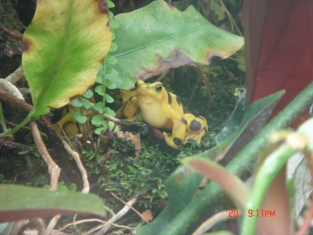 DSC01443.jpg