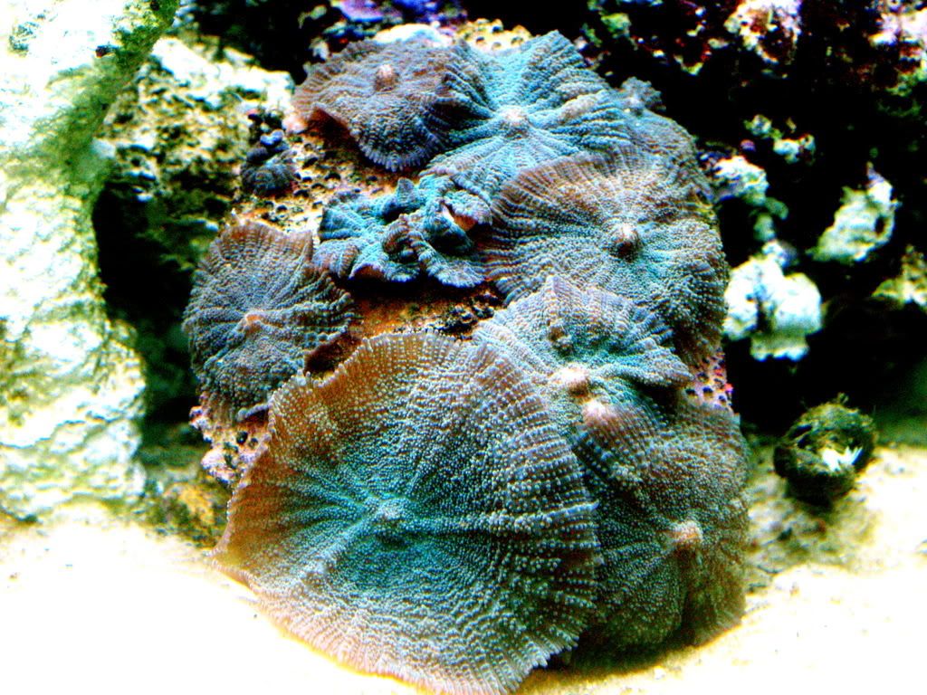 P5047536-1.jpg