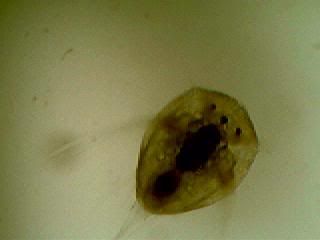 Picture021.jpg