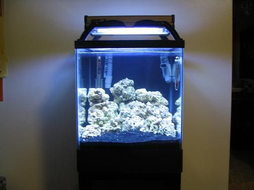 Tank02.jpg