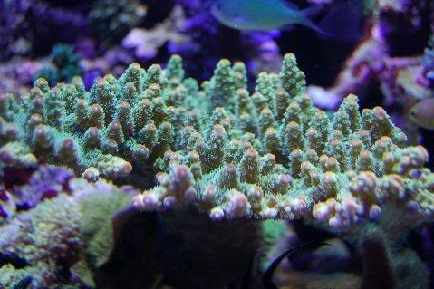 DSC_0031.jpg