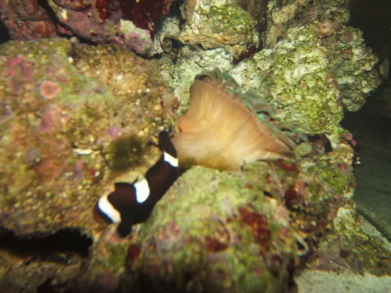 DSCF1098.jpg