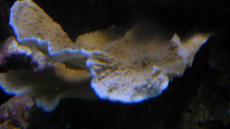 DSCN1316.jpg
