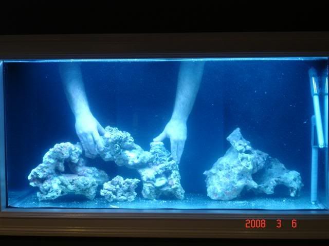 DSC01579Small.jpg