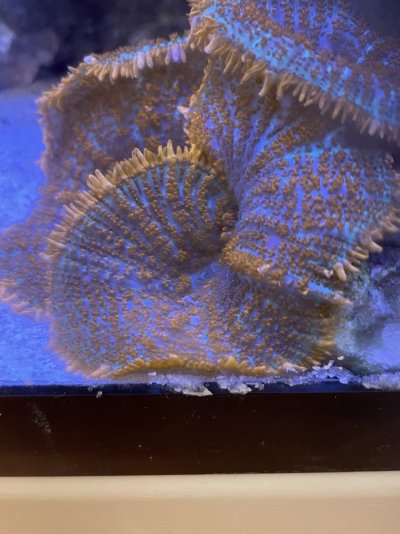 14700668-8F15-43A8-8CCC-C47017A7631D.jpeg