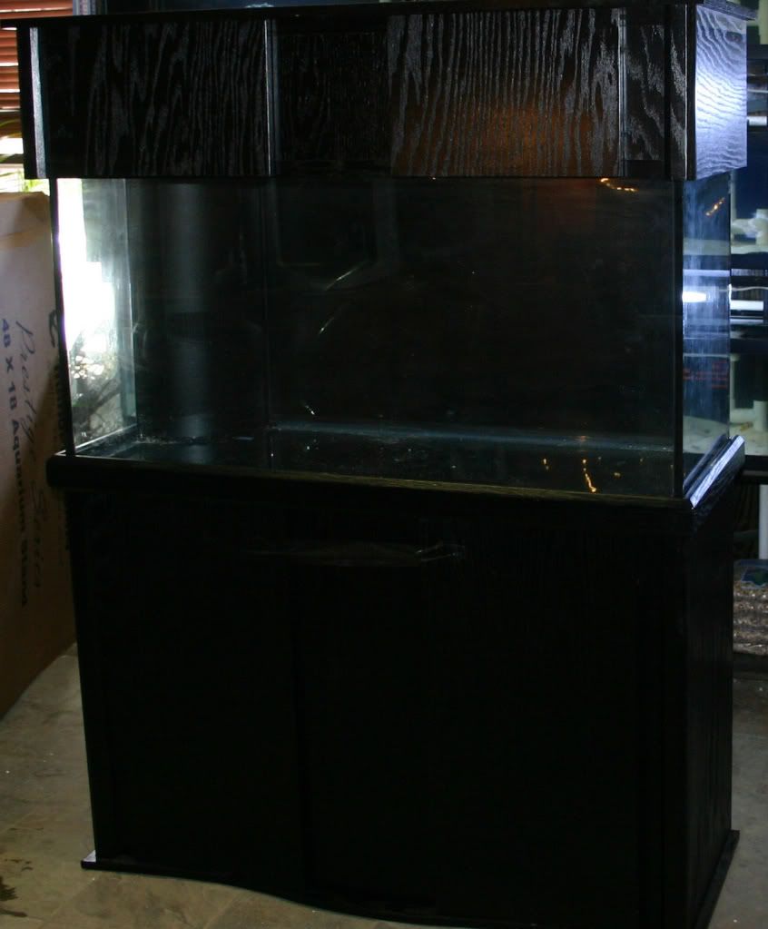 IMG_7748.jpg