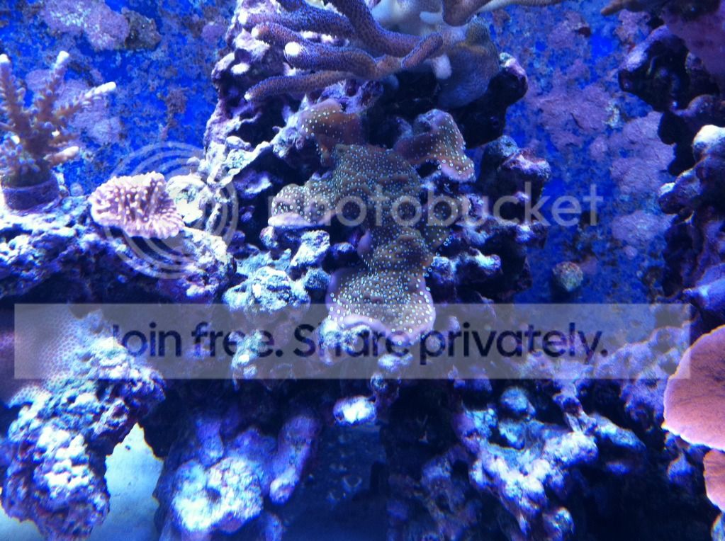 March2012025.jpg