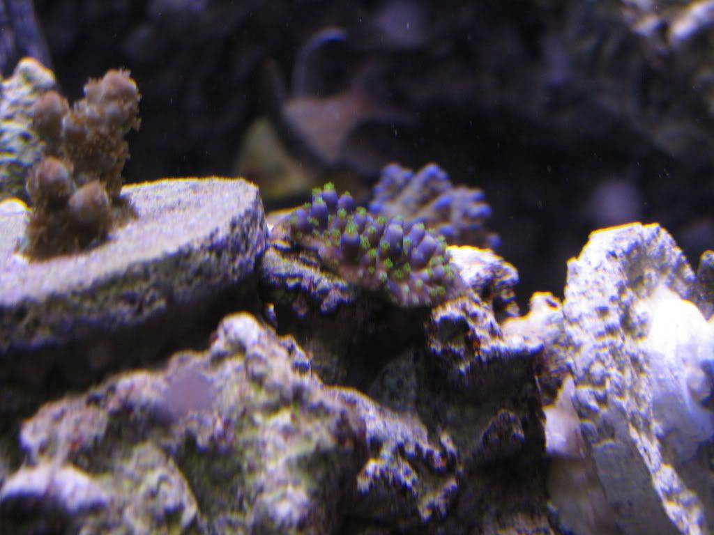 IMG_0289.jpg