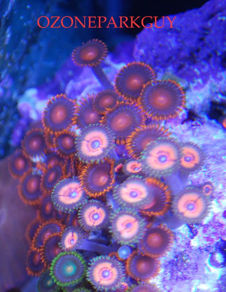 unknown14.jpg