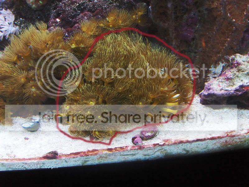 fishtank50210.jpg