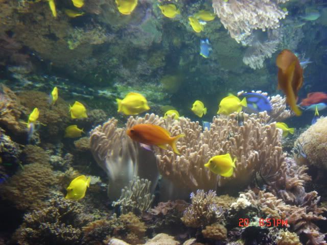 DSC01411.jpg