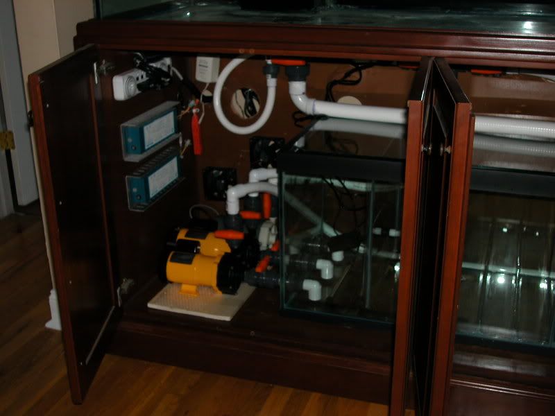 DSCN2512.jpg