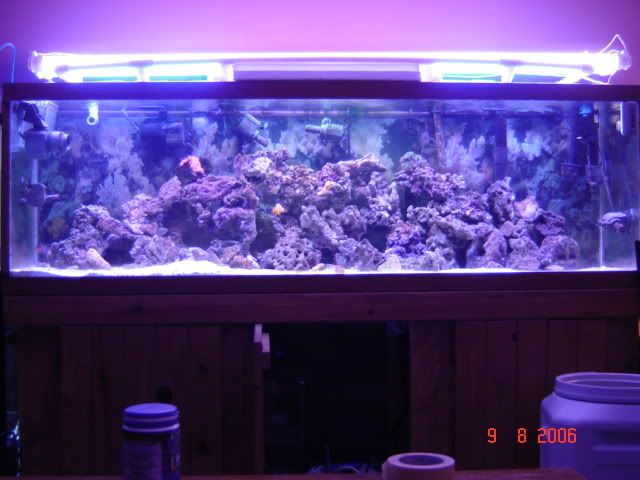 DSC00903.jpg