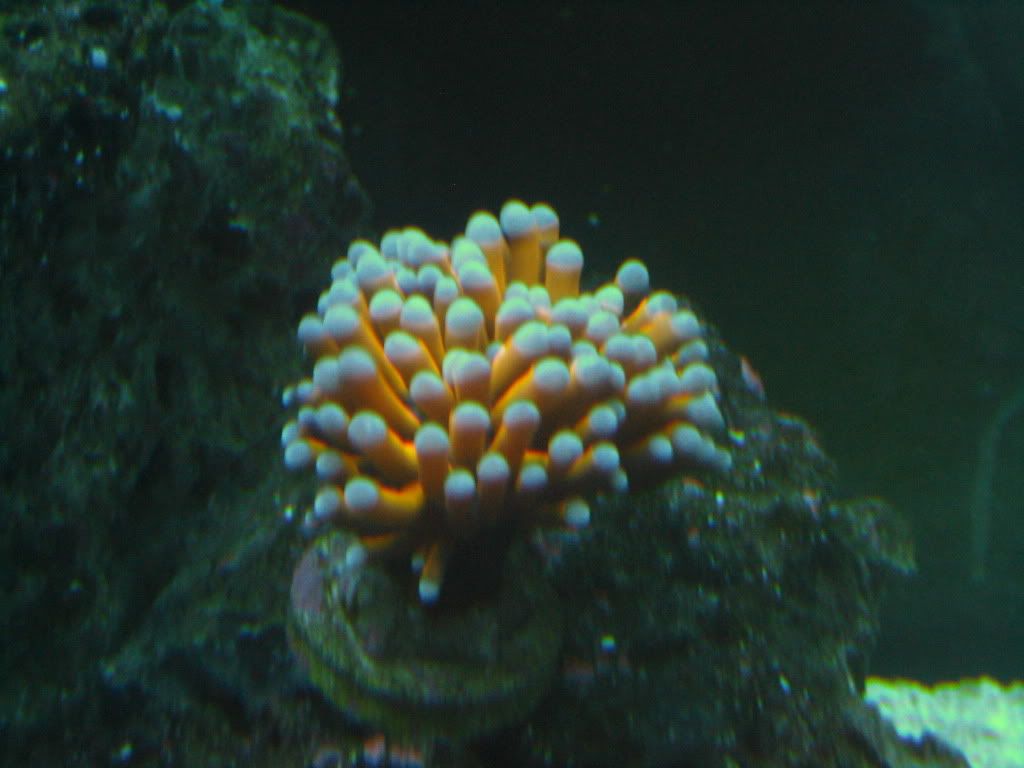 IMG_3323.jpg