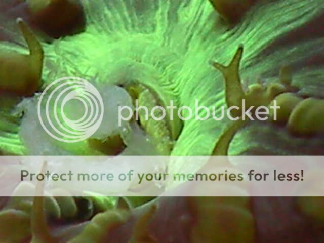 RSCN3691.jpg
