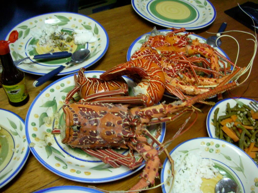 steve_lobster.jpg