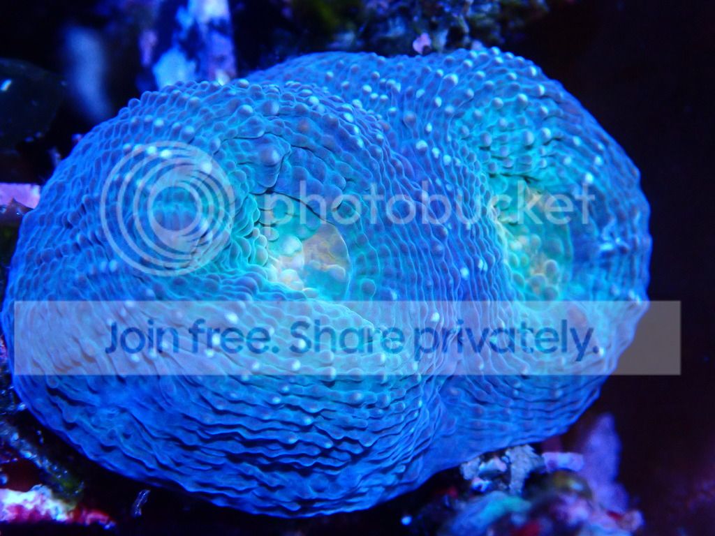 P8310274_zpsar7ow3zp.jpg
