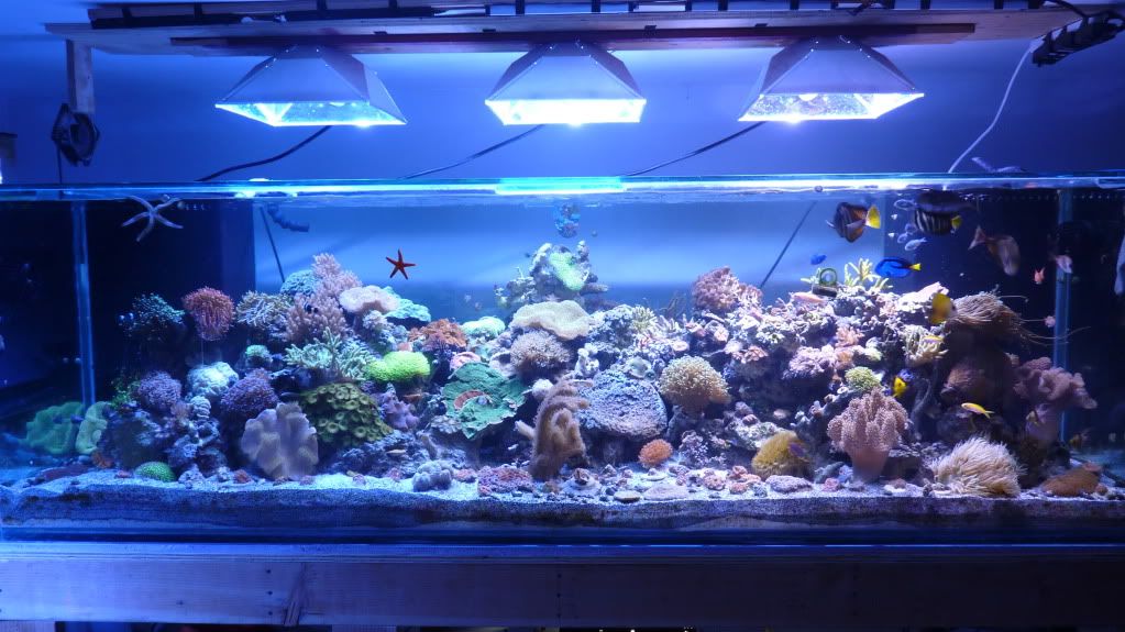 fts.jpg