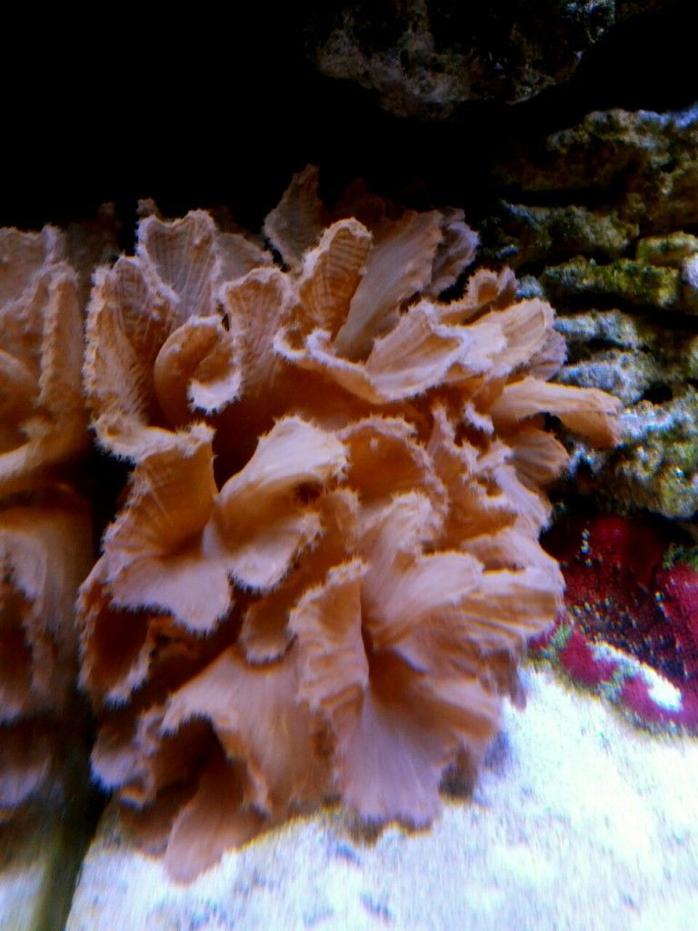 IMG_20120831_131745.jpg