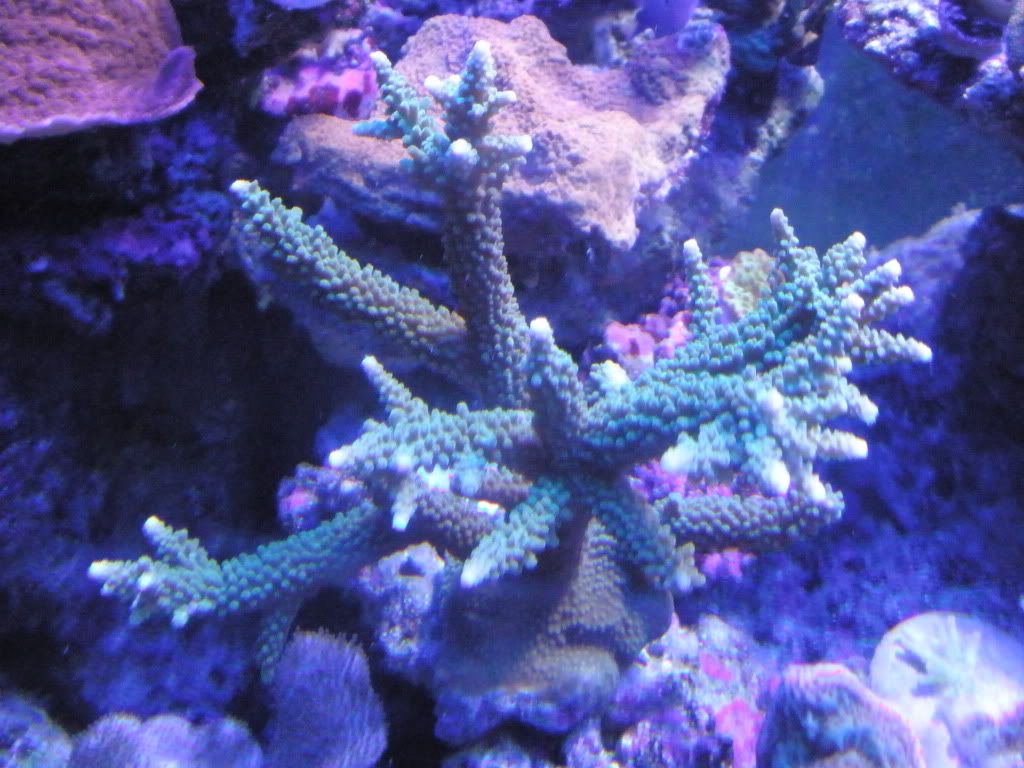P9150028.jpg