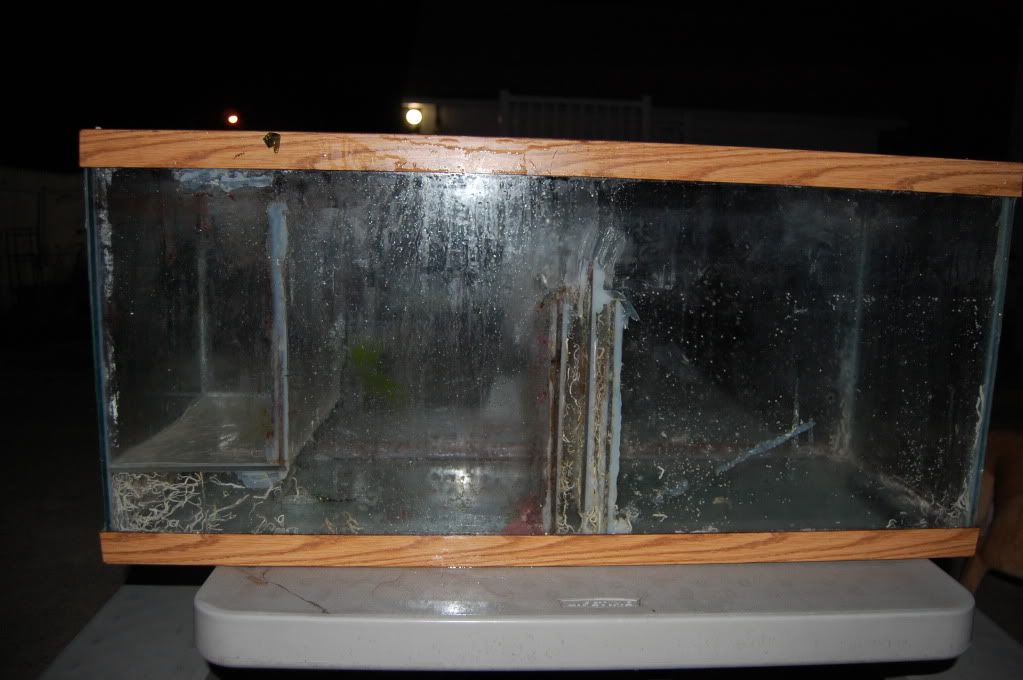 DSC_2008.jpg