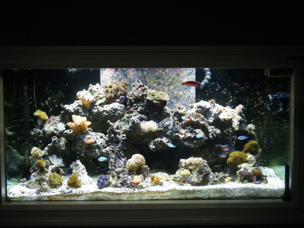 DSCF0289.jpg