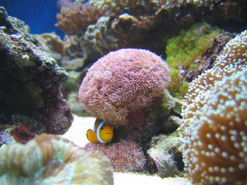 IMG_0920.jpg