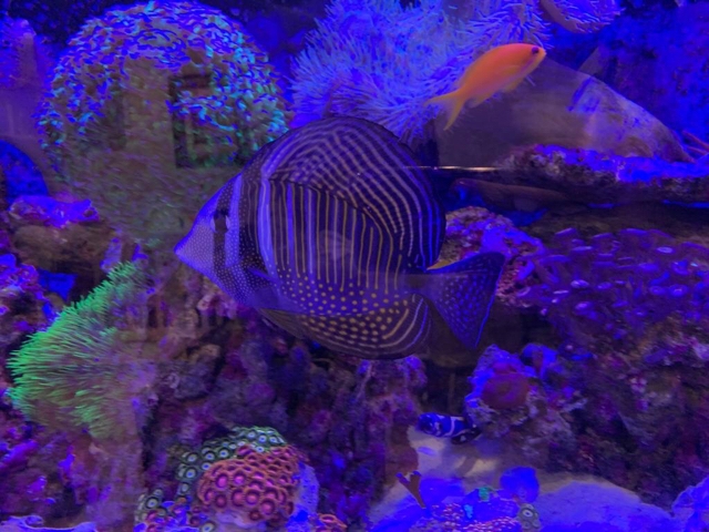 5e1ef925f39551b46104252eb190b34e.jpg