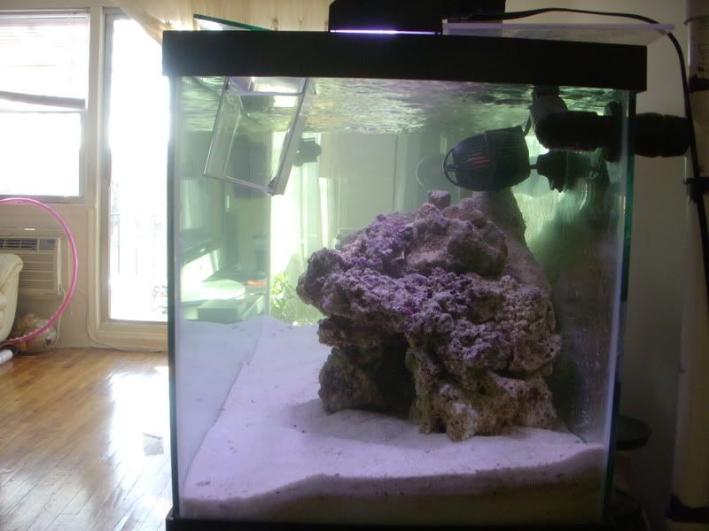 DSCN1651.jpg
