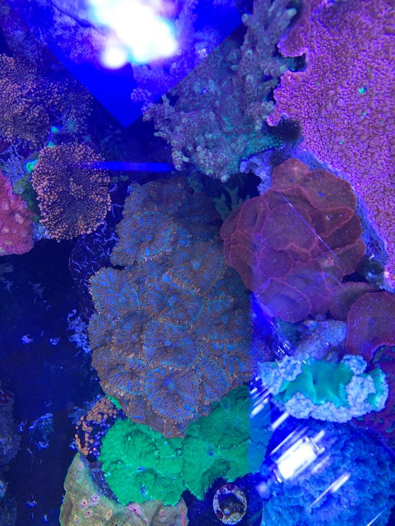 69b60d1449f059fe95bc6a36ba7f6b71.jpg