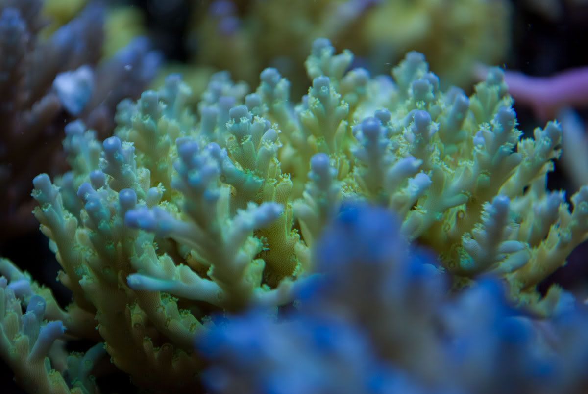 DSC_0137.jpg