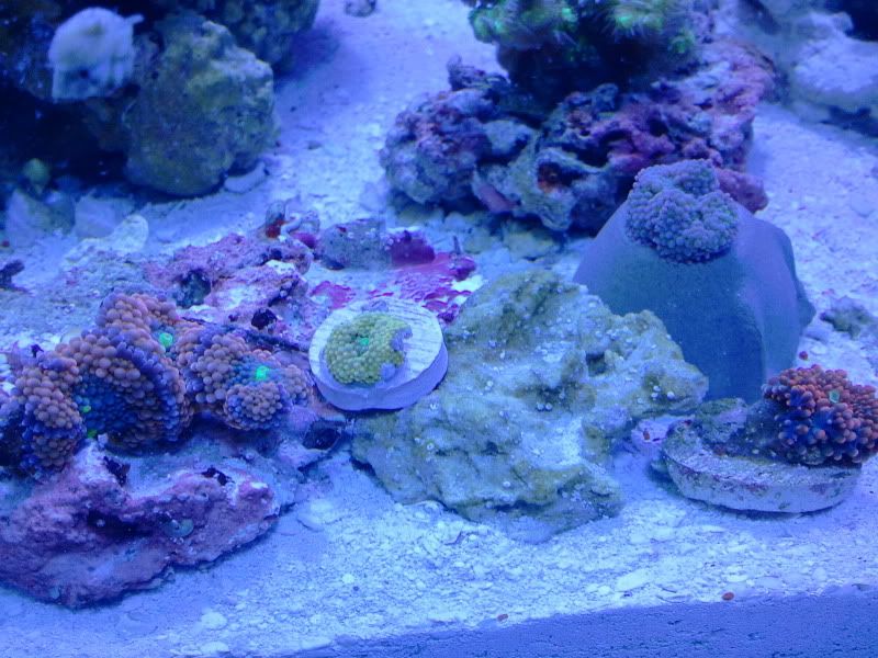 2011-04-21120226.jpg