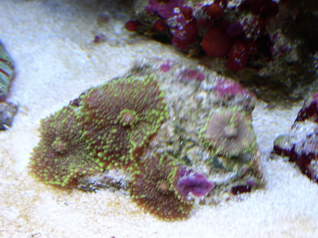 20110130_0760.jpg