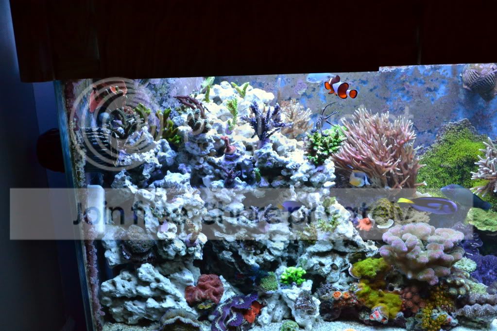 d3100newrockwork040.jpg