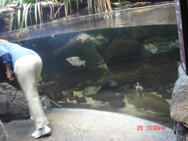 DSC01497.jpg