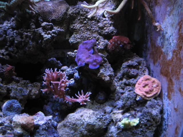 tanksep08006.jpg
