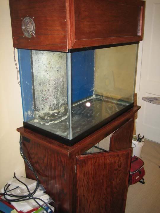 65g3.jpg