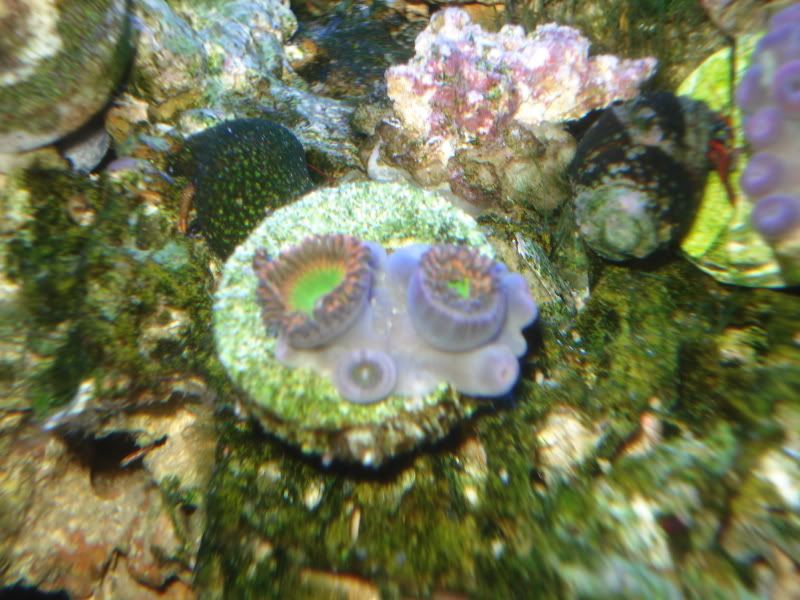 fish6-09002.jpg