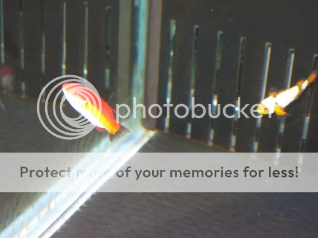 0IMG_5726.jpg