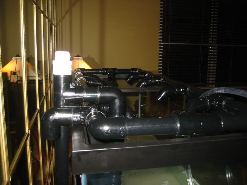 115-1530_IMG.jpg