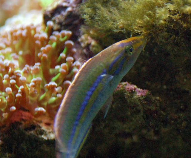 DSC_6760.jpg