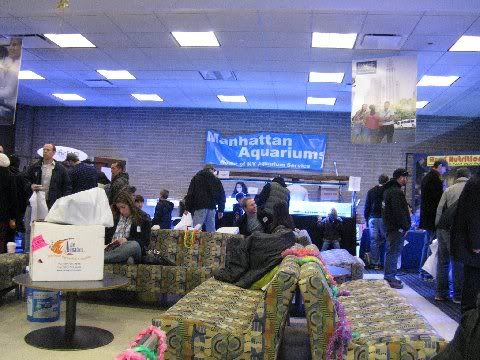 fallswap08705.jpg