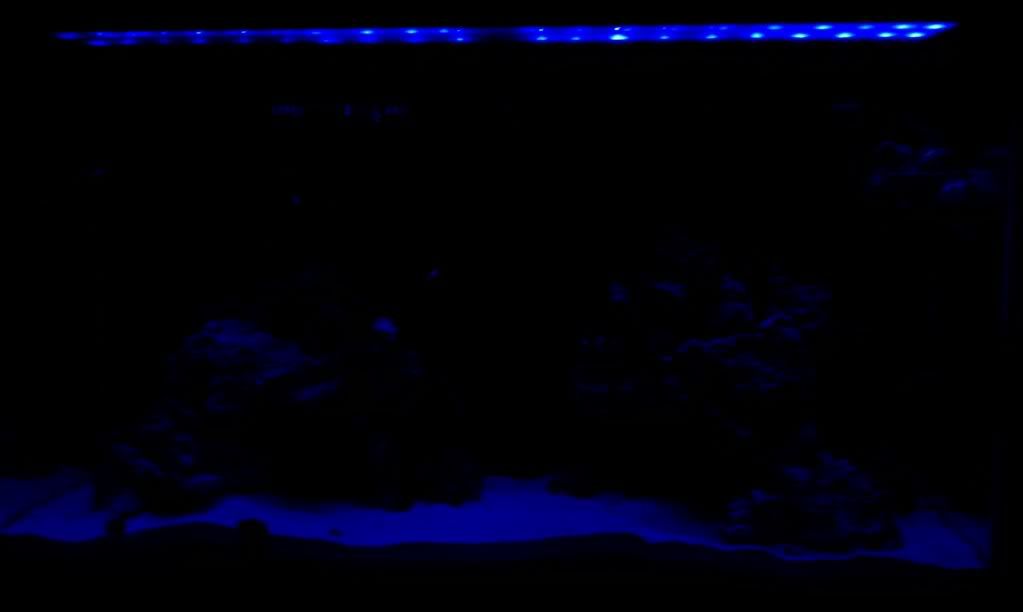 IMAG0047.jpg