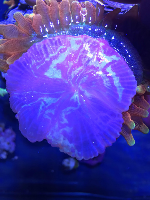 unnamed-8.jpg