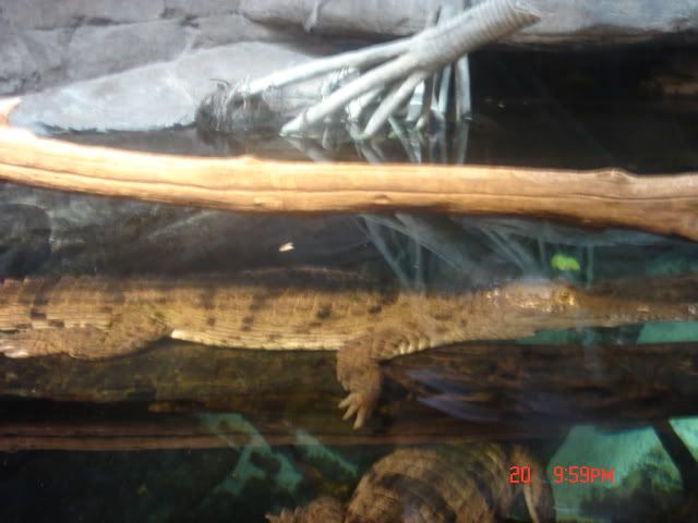 DSC01493.jpg